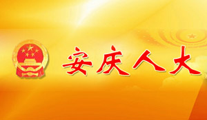  <b>元宇宙公司排名：安庆市人民代表大会常务委员会</b>